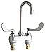 Chicago Faucet Company 895-317XKABCP Chicago Lav Gooseneck Fct Lf