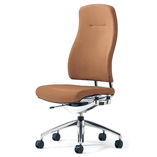 Reorga KC-RP60SPLU BR042S [�u���E��]