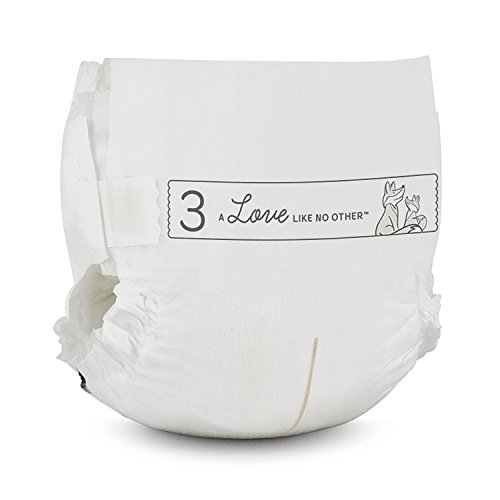 Bambo Nature Eco Friendly Premium Baby Diapers for Sensitive Skin, Size 3 (9-20 lbs), 33 Count