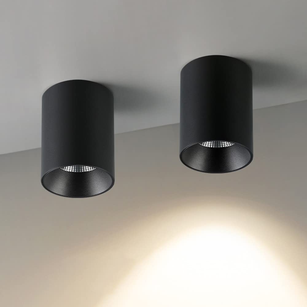 LED Surface Mounted Spotlight 2 Packs Ceiling Downlight Cylindrical Hallway Ceiling Lamp, Adjustable Directional Accent Spot Lighting, Corridor Gallery Spotlights