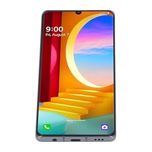 Cryfokt Phone LCD Screen with Fingerprint Reader for Velvet 5G High Resolution Multitouch Display Cell Phone Screen Replacement for LG G9 G900 Suitable for Smartphone Enthusiasts 6.8 Inch Black (grey)
