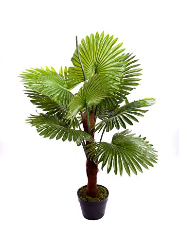 Open Palm Tree For Office | Best Artificial