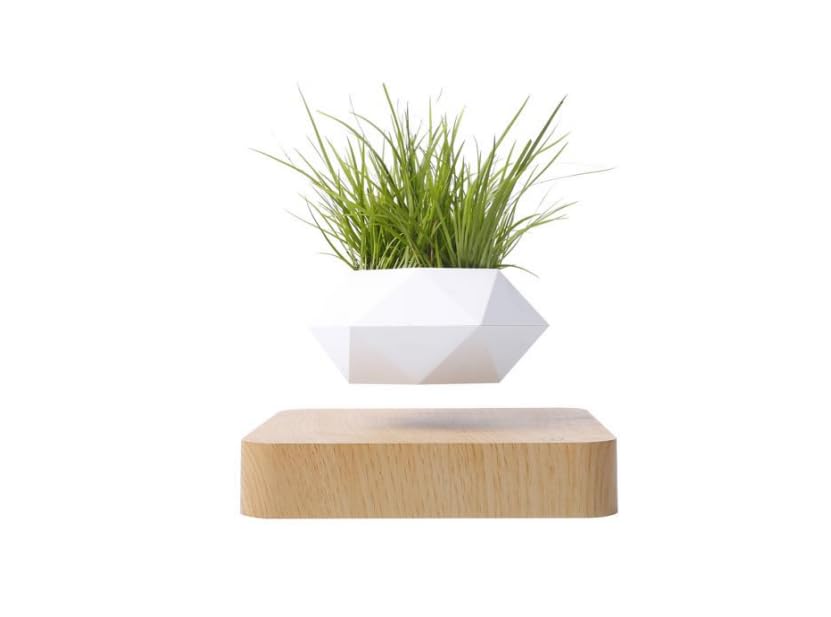 Pot de fleurs flottant en bois clair, l'idée cadeau design et originale