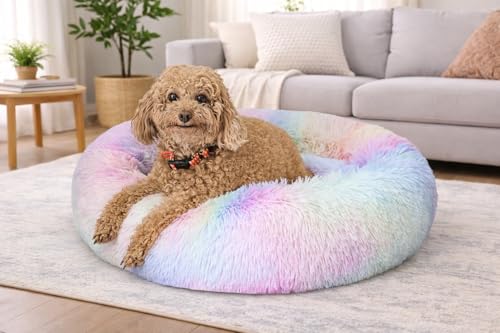 Image of ZEXSAZONE Winter Calming Dog Bed & Cat Bed for Indoor Cats Medium Size Washable Anti-Slip Anti-Anxiety Donut Mat for Small Dogs & Fluffy Plush Cozy Round Dog Bed (Small Rainbow)