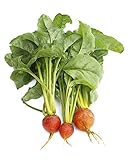 Golden Detroit Beet Seeds, 100 Heirloom Seeds Per Packet, Non GMO Seeds, Botanical Name: Beta...