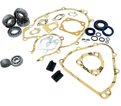 Distributore: LG-Motors KIT 100 - KIT REVISIONE MOTORE CON CUSCINETTI PARAOLI GUARNIZIONI ETC COMPATIBILI CON APE TM P602 220 1982-1983 PK 50 1984-1989 APE TM P 50 1985-1989 APE FL - FL2 50 1989-1995