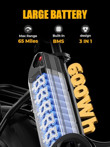 Folding Electric Bike for Adults