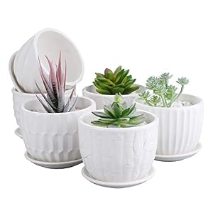 Brajttt 10.2cm Keramik Blumentöpfe, 6er-Pack Weiß