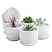 Mini Ceramic Planters, Brajttt 4 Inch Cylinder Ceramic Plant Pots with Connected Saucer, Planters for Succuelnt and Little Snake Plants (6 Pack, White)