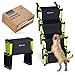 STRABELLO Scala per cani di piccola e grande, con catarifrangenti al neon, per cani di piccola e grande, scala per cani, pieghevole, adatta per quasi tutte le auto