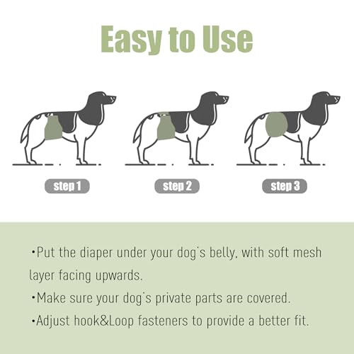 Image of Wegreeco Washable Male Dog Diapers (Pack of 3) - Washable Male Dog Belly Wrap (X-Small)