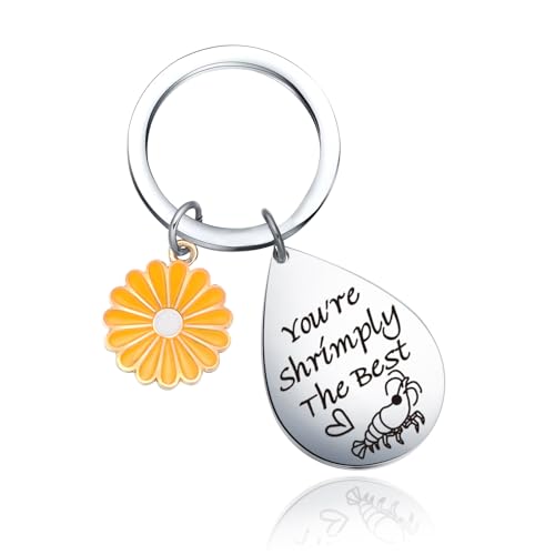 UIEOA Shrimp Decor Keychain Shrimp Themed Gifts Prawn Jewelry Seafood Lover Gifts for Friendship Granddaughter Jewelry Encouragement Keychain