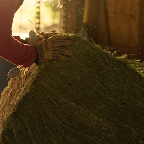 Blue Mountain Hay Palha de cama orgânica (4,5 kg) palha natural de animal para porquinhos-da-índia,