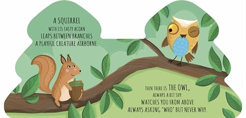 Friends Of The Forest. Shaped Books. Ediz. A Colori - 3