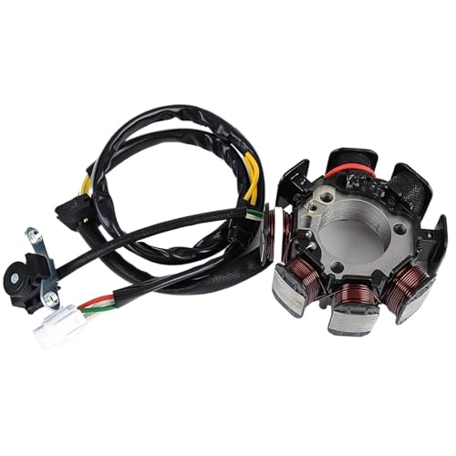 Bobine de magnéto idéale pour restaurer votre moto KLX300R
