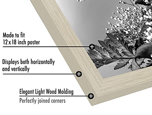 Americanflat 12x18 Poster Frame with Polished Plexiglass - Wide Picture Frames Made of Engineered Wood for Vertical or Horizontal Wall Display - Epic Collection - Light Wood