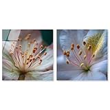 Art Remedyによるニュートラルな静けさの植物アクリルプリントファームハウスウォールデコ2個セット、すぐに掛けられる、30×30