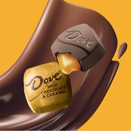DOVE PROMISES Milk Chocolate Caramel Candy Individually Wrapped, 12.67Oz - image 5