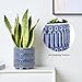 STHIE 5 Inch Ceramic Planters for Indoor Plants, Blue Cactus Snake Plant Pots with Drainage, Unique Design Round Flower Pot for Home Decoration