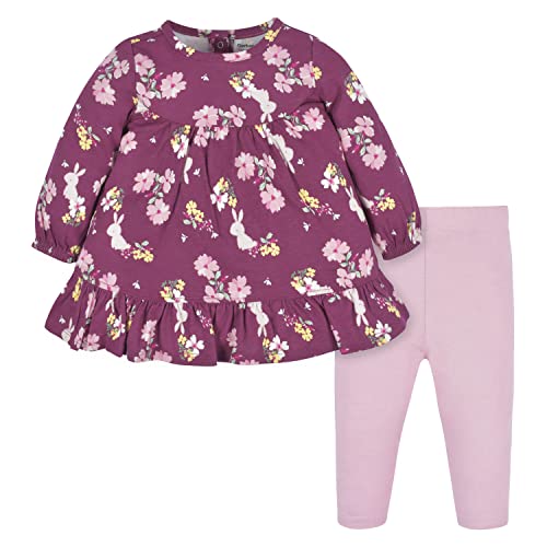 Image of Gerber baby-girls Baby Girls' 2-piece Dress & Legging Set