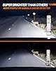 SEALIGHT H1 Bulbs 36000LM Super Bright, 1:1 Size Stock S6 H1 Light No Adapter Required No Cordless, 6500K Cool White Hi/Lo Bulbs, Plug-N-Play, Driving Fog Spot Light Assemblies, Pack of 2 #1