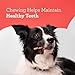 DreamBone Twist Sticks, Made With Real Chicken, Rawhide-Free Chews for Dogs, 50 Count