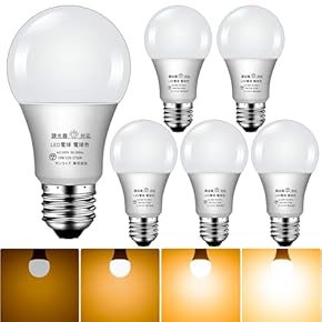 ぱおん　LED電球　30個セット 　C0701D ビンテージLED電球 LEDオーソドックス(E26)25W相当 2700K | LT