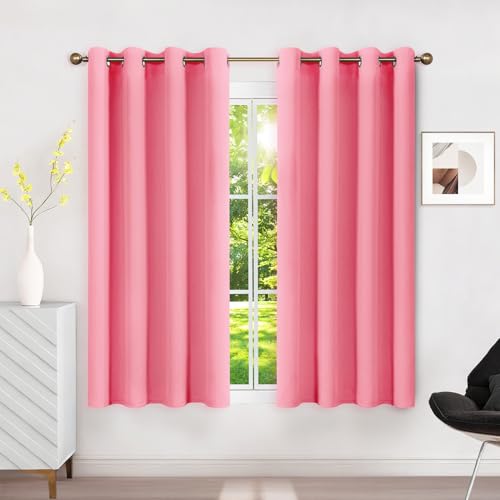 Runyéla Rideau Occultant Thermique Isolant Anti Chaleur 120x140 (LxH), Lot de 2 Rideaux Fenêtre Opaques Rose à Oeillets Anti Froid UV Bruit, Intérieurs...