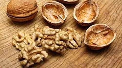 Image of In Shell Walnuts (1 Lbs.) - Large Natural California Walnuts - Great Source of Omega 3 - Fresh New Crop - Bursting with Flavor - Farm Fresh Nuts Brand
