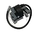 The ROP Shop Pack of 2 Ignition Module Coils for 799651, 691060 Intek V-Twin Engines