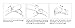 Lacoste.12.12 Leather Bracelet for Men - Easily Adjustable - Modern Design, Iconic Collection - Fashion Accessory - Gift for Him