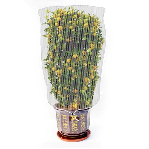 Tcoabl 家庭菜園 防虫ネット 1.5x1m 透明素材 植物保護カバー 防風ネット 防虫網 虫除けネット プランター用 防虫カバー 野菜 果実保護 植物 ネット 150x100cm 1枚