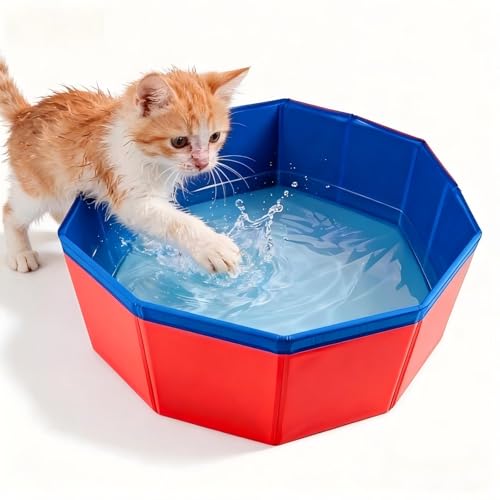 Lysjoy Katzenpool 30 × 10cm Hundepool Klein Faltbarer Katzen Pool Hundeplanschbecken Planschbecken Klein für Katzen und Hunde zum Spielen im Wasser Baden und Ausruhen (Rot)