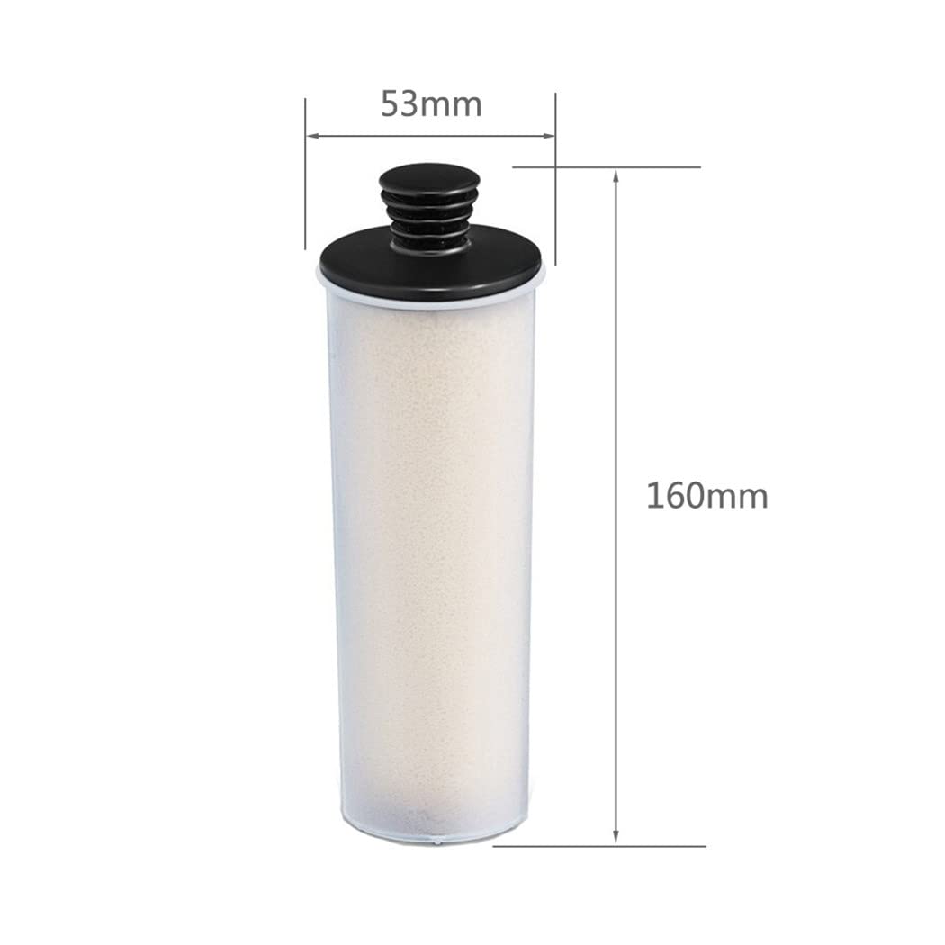 2 StüCk Dampf Reiniger Kartusche Entkalkung Stift für SC3 Serie SC 3 Easyfix/SC3MX/SC3 127V BR Entkalkung Filter