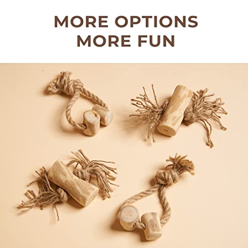 Baoan Foreco Coffee Wood Dog Chew Toy, Natural & Long Lasting Dog Chew Sticks For Puppies, Aggressive Chewers, Xl-Size For Dog Up To 44Lbs - Pack Of 2 #TOP6