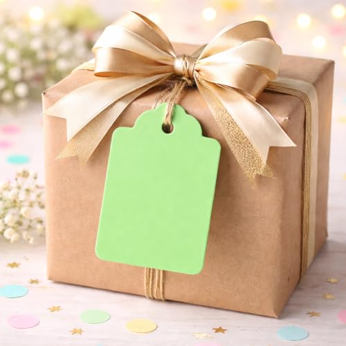 Image of CVANU 300pcs Premium Color Tag Blank Hanging with Pre-Punched Hole Tags for DIY Crafts, Gift Wrapping, Labelling & Writable Decorative Tags for All Occasions (2.85in X 1.7in) Light Green