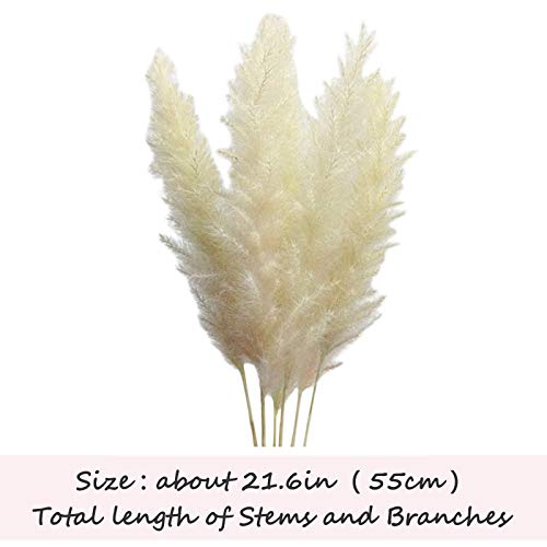 Pampas Grass, 5Pcs Natural Dried Flowers Phragmites Bouquet Artificial Flowers for DIY Home Kitchen Wedding Table Floral Arrangements Vase Decor (B)