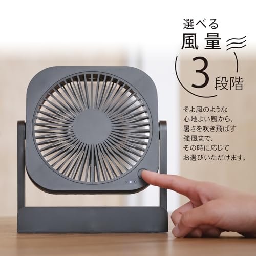 TOPLAND どこでもFANTASTIC SF-DF25BR の商品画像 4