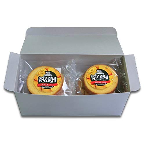 񋏖oEN[w8×2 ݂ oEN[w  mَq  쏤X