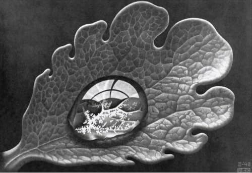 Peinture Toile M.C Escher Feuille et Goutte de Rosée Impression Fine Art 90x60cm