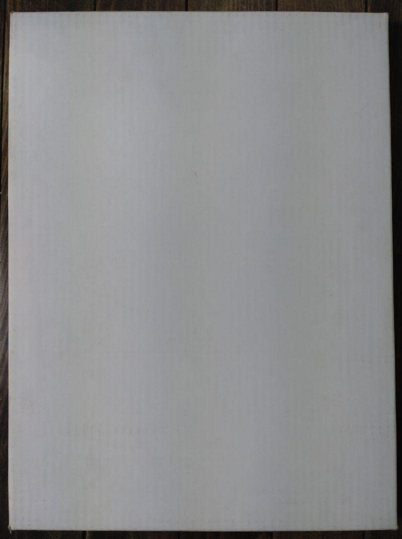 豪華 証明写真 額縁付 直筆サイン入り 闘魂 アントニオ猪木 B4サイズ