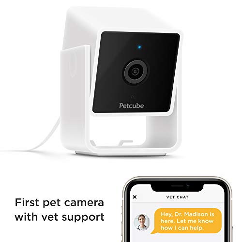 Petcube Cam Wi-Fi Pet and Security Camera with Phone App, Cats and Dogs Monitor with 2-way Audio and 1080p HD Video, Night Vision, and AI Alerts - Image 6