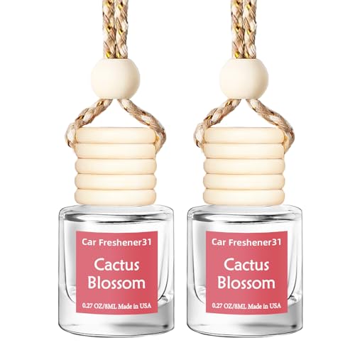 Image of Hanging Car Air Freshener, Long Lasting Essential Oil Diffuser, Non-Toxic New Car Scent, Cute Car Fresheners for Women, 2 Pack Made in USA
