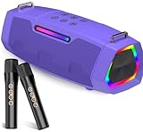 Máquina de karaoke con dos micrófonos inalámbricos,