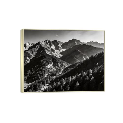 Tableau Toile Arbre Montagne 2 paysage noir et blanc 80x105 cm avec cadre argenté élégant