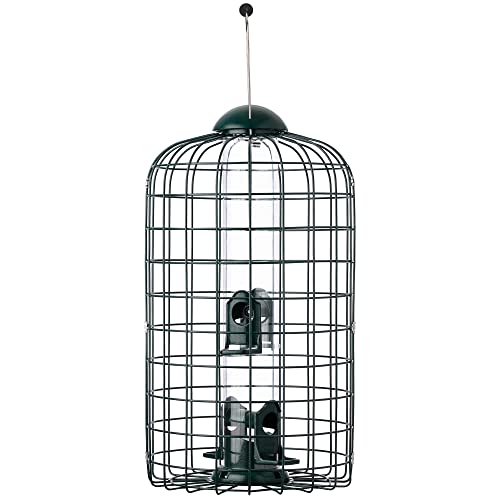 More Birds Squirrel-X Bird Feeder, Cage Tube Feeder Keeps Squirrels Out, 4...