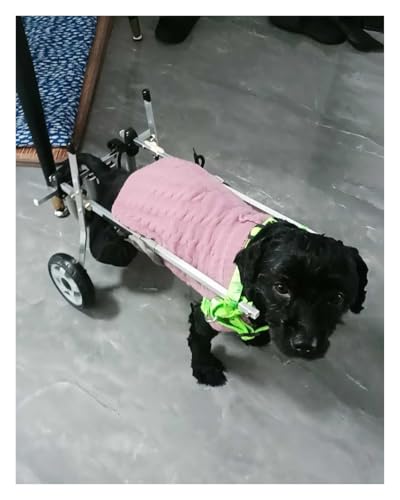 Aide à la mobilité pour membres postérieurs paralysés Chien handicapé M - 2