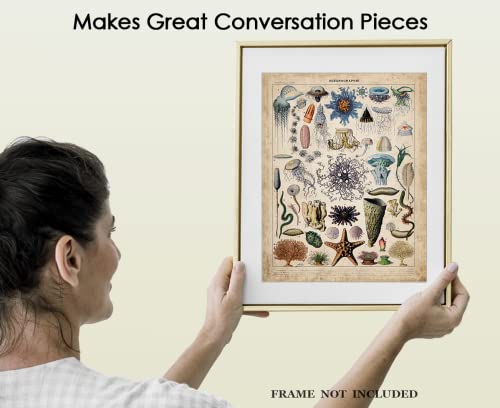 Vintage Oceanography Poster Print: 11X14 Unframed Photo For Home, Office, Dorm & Bedroom Decor - Creative Gift Idea For Ocean Lovers And Boho Decor Enthusiasts #TOP3