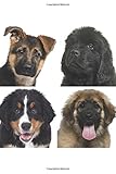  The HMB Doggie Series: The Complete Collection of BOONE, BENNETT, TANGO and CASH