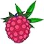 Raspberry Hemp